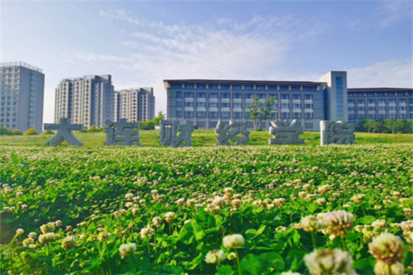 黄金炒股在线配资：掘金之路上的风险与机遇