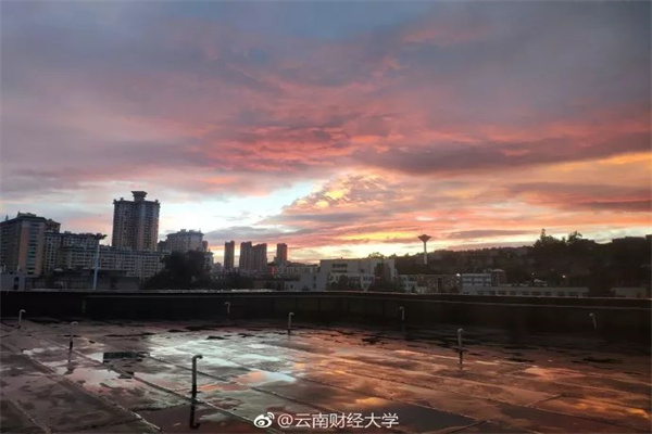 券商“选股”新动向：去年四季度新进持有61只重仓股 