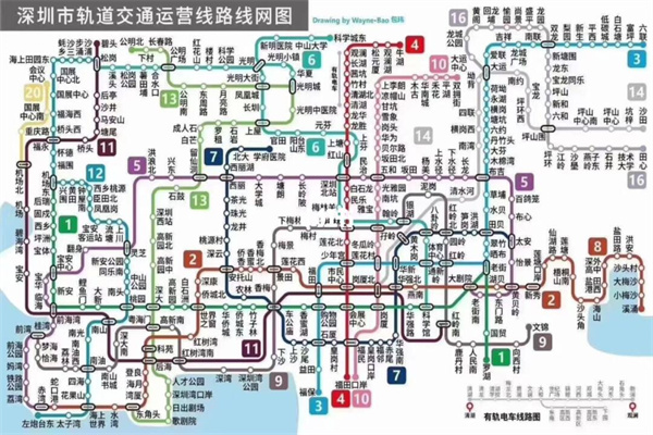 交易真相，波动永在，财富永存