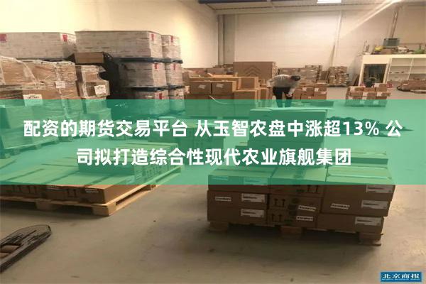 配资的期货交易平台 从玉智农盘中涨超13% 公司拟打造综合性现代农业旗舰集团