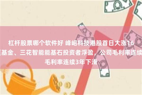 杠杆股票哪个软件好 峰岹科技港股首日大涨16%，华夏基金、三花智能能基石投资者浮盈，公司毛利率连续3年下滑