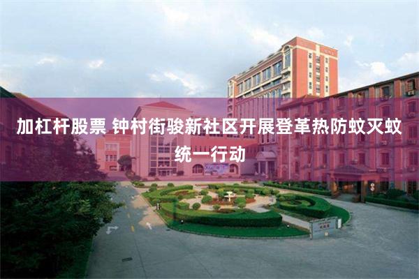 加杠杆股票 钟村街骏新社区开展登革热防蚊灭蚊统一行动