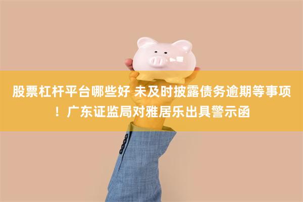 股票杠杆平台哪些好 未及时披露债务逾期等事项！广东证监局对雅居乐出具警示函