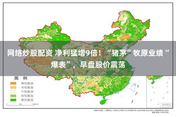 网络炒股配资 净利猛增9倍！“猪茅”牧原业绩“爆表”，早盘股价震荡