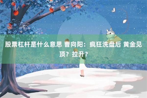 股票杠杆是什么意思 曹向阳：疯狂洗盘后 黄金见顶？拉升？