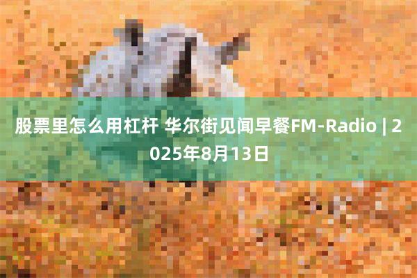 股票里怎么用杠杆 华尔街见闻早餐FM-Radio | 2025年8月13日