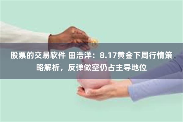 股票的交易软件 田浩洋：8.17黄金下周行情策略解析，反弹做空仍占主导地位
