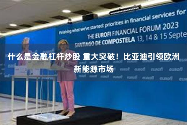 什么是金融杠杆炒股 重大突破！比亚迪引领欧洲新能源市场