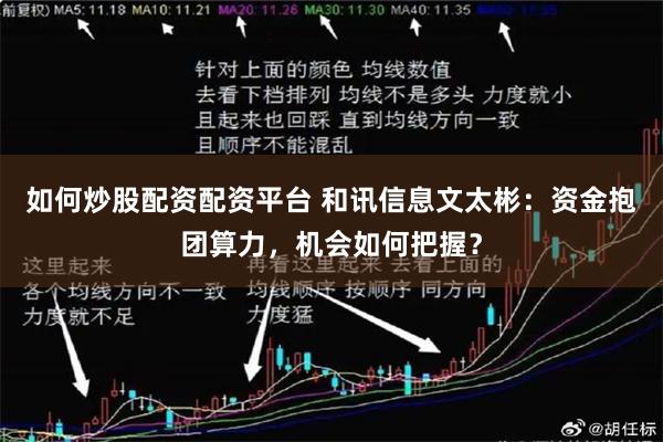 如何炒股配资配资平台 和讯信息文太彬:资金抱团算力,机会如何把握?