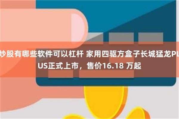 炒股有哪些软件可以杠杆 家用四驱方盒子长城猛龙PLUS正式上市，售价16.18 万起