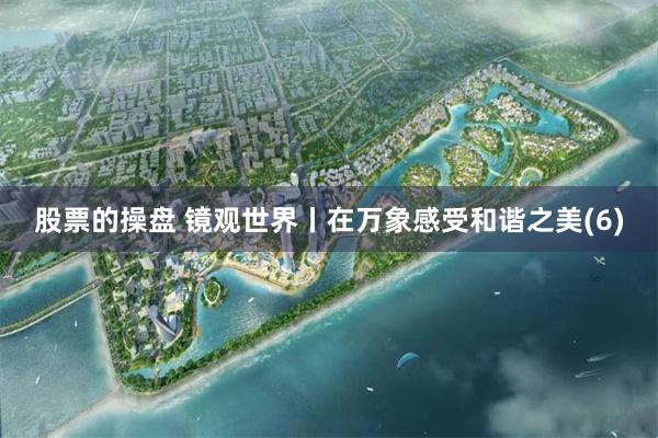 股票的操盘 镜观世界丨在万象感受和谐之美(6)