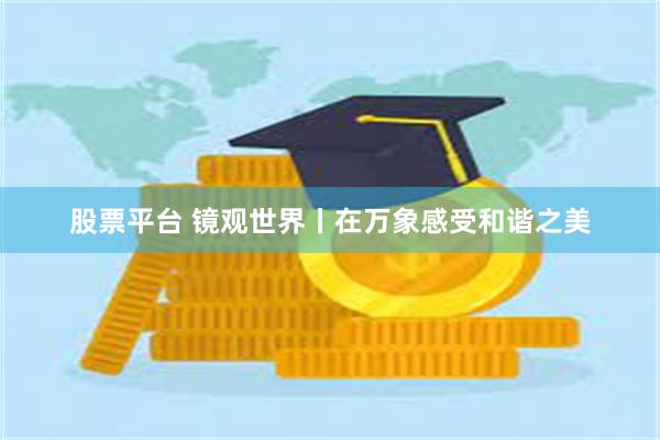 股票平台 镜观世界丨在万象感受和谐之美