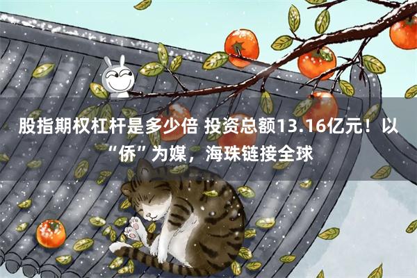 股指期权杠杆是多少倍 投资总额13.16亿元!以“侨”为媒,海珠链接全球