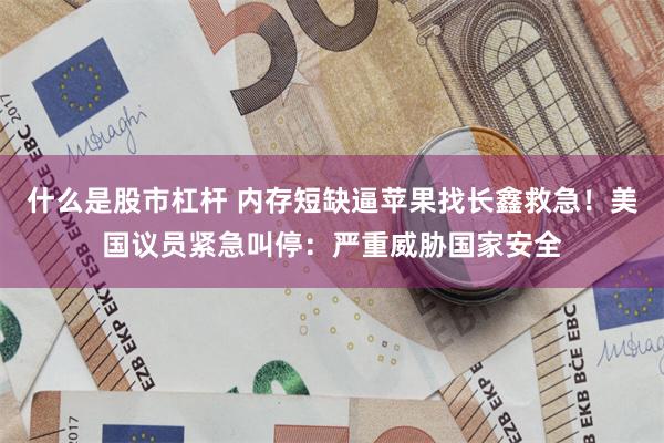 什么是股市杠杆 内存短缺逼苹果找长鑫救急！美国议员紧急叫停：严重威胁国家安全