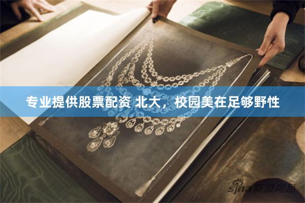 专业提供股票配资 北大，校园美在足够野性