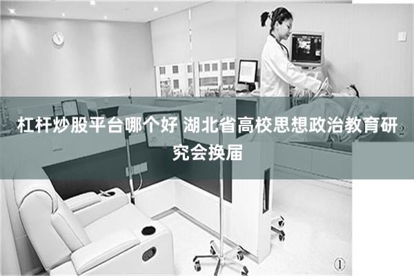 杠杆炒股平台哪个好 湖北省高校思想政治教育研究会换届
