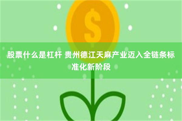 股票什么是杠杆 贵州德江天麻产业迈入全链条标准化新阶段