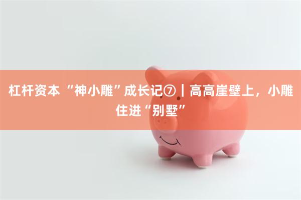 杠杆资本 “神小雕”成长记⑦｜高高崖壁上，小雕住进“别墅”