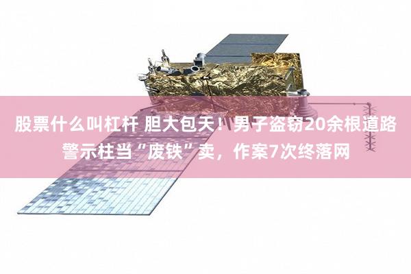 股票什么叫杠杆 胆大包天!男子盗窃20余根道路警示柱当“废铁”卖,作案7次终落网