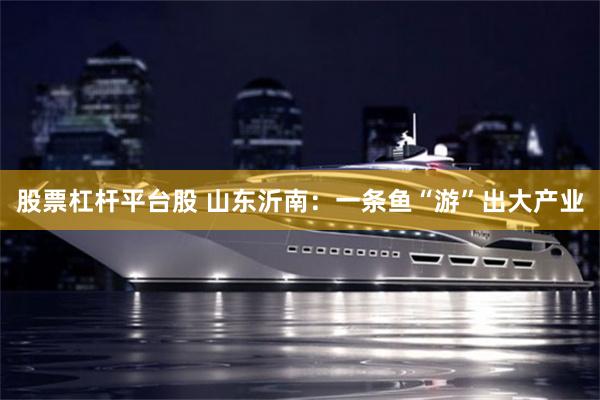 股票杠杆平台股 山东沂南：一条鱼“游”出大产业