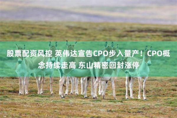股票配资风控 英伟达宣告CPO步入量产!CPO概念持续走高 东山精密回封涨停
