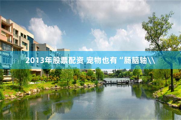 2013年股票配资 宠物也有“肠脑轴\