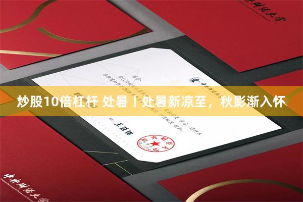 炒股10倍杠杆 处暑丨处暑新凉至，秋影渐入怀