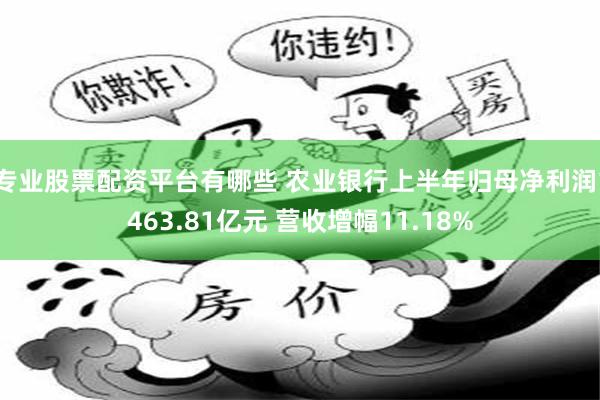 专业股票配资平台有哪些 农业银行上半年归母净利润1463.81亿元 营收增幅11.18%