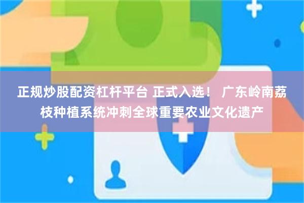 正规炒股配资杠杆平台 正式入选！ 广东岭南荔枝种植系统冲刺全球重要农业文化遗产
