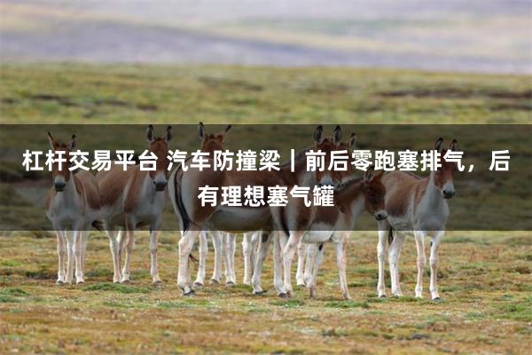 杠杆交易平台 汽车防撞梁｜前后零跑塞排气，后有理想塞气罐