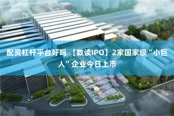 配资杠杆平台好吗 【数读IPO】2家国家级“小巨人”企业今日上市