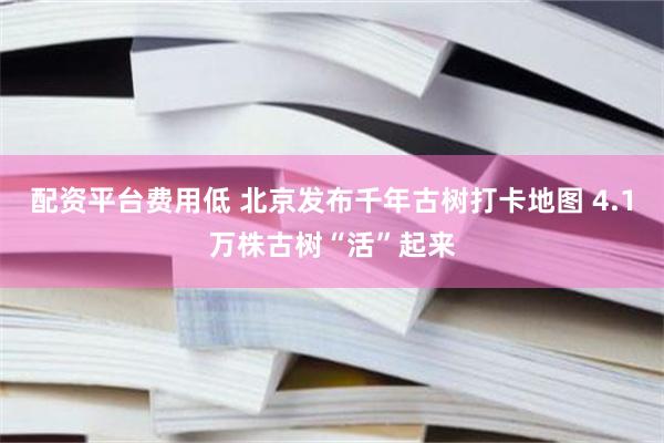 配资平台费用低 北京发布千年古树打卡地图 4.1万株古树“活”起来