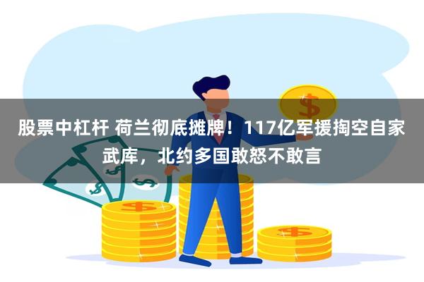 股票中杠杆 荷兰彻底摊牌！117亿军援掏空自家武库，北约多国敢怒不敢言
