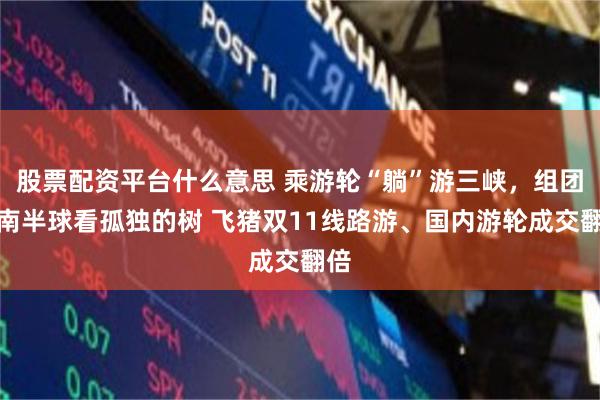 股票配资平台什么意思 乘游轮“躺”游三峡，组团去南半球看孤独的树 飞猪双11线路游、国内游轮成交翻倍